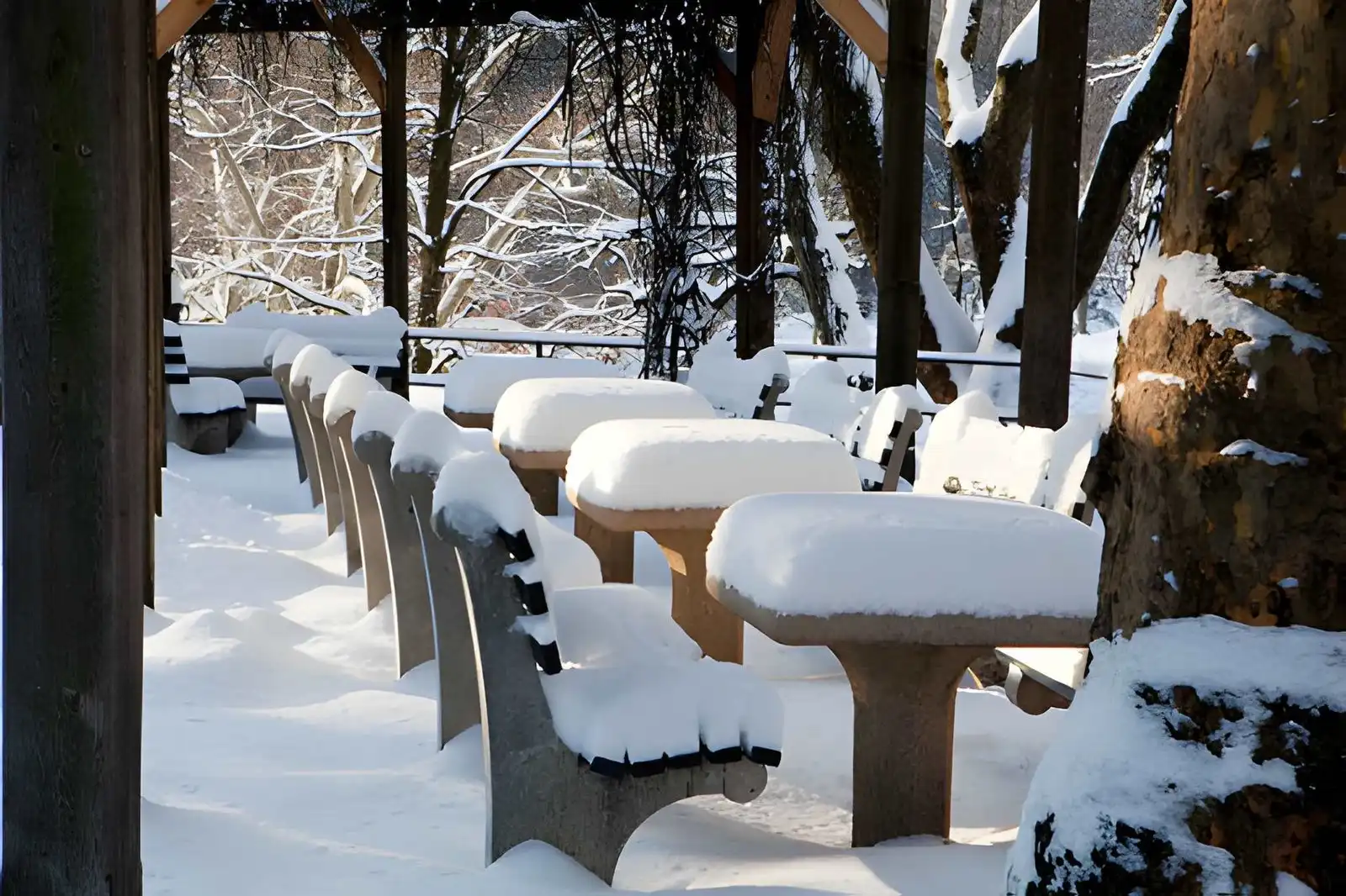 Best composite deck materials for New York winters