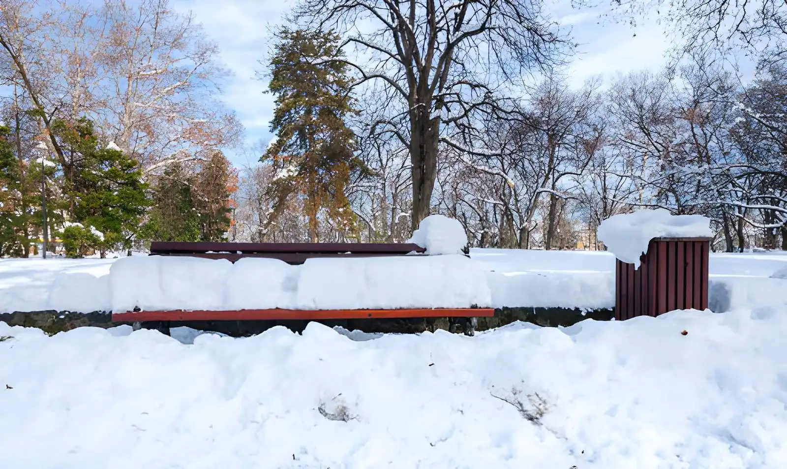 Best composite deck materials for New York winters